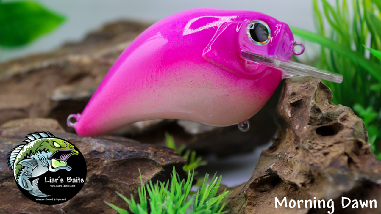 Morning Dawn Morning Dawn