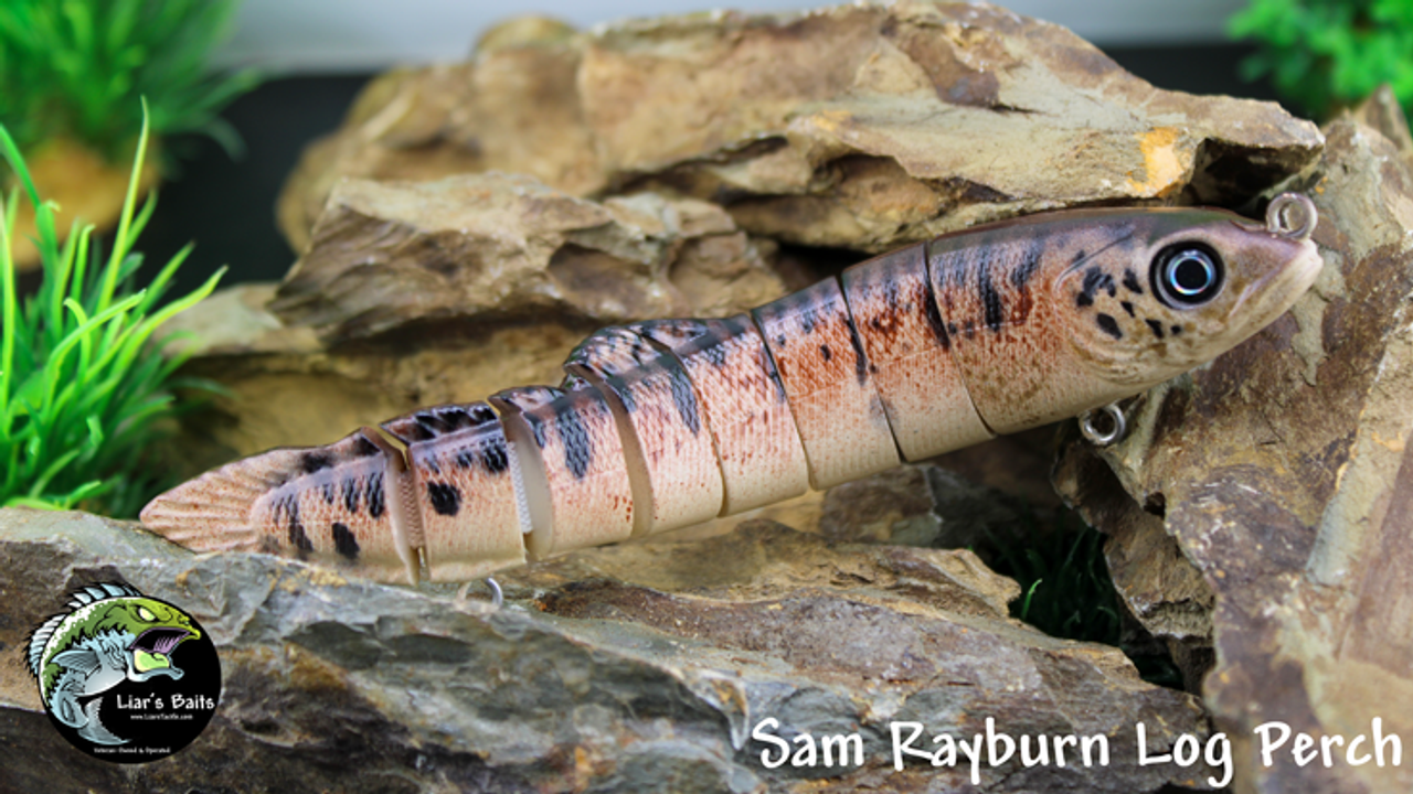 Sam Rayburn Log Perch