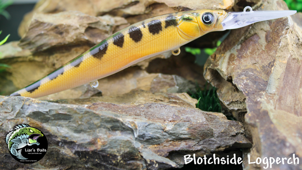 Blotchside Logperch
