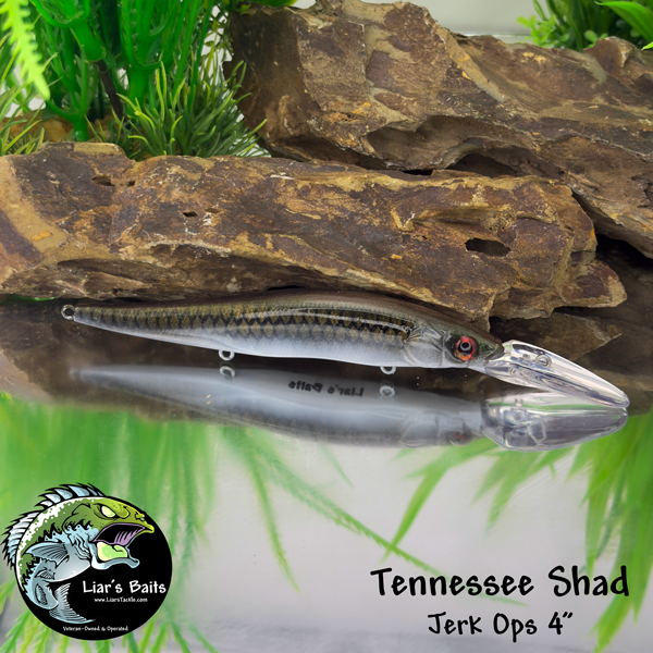 Tennessee Shad