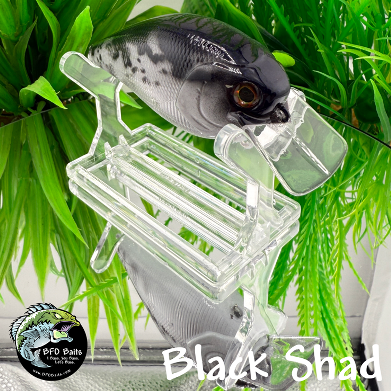 Black Shad Black Shad