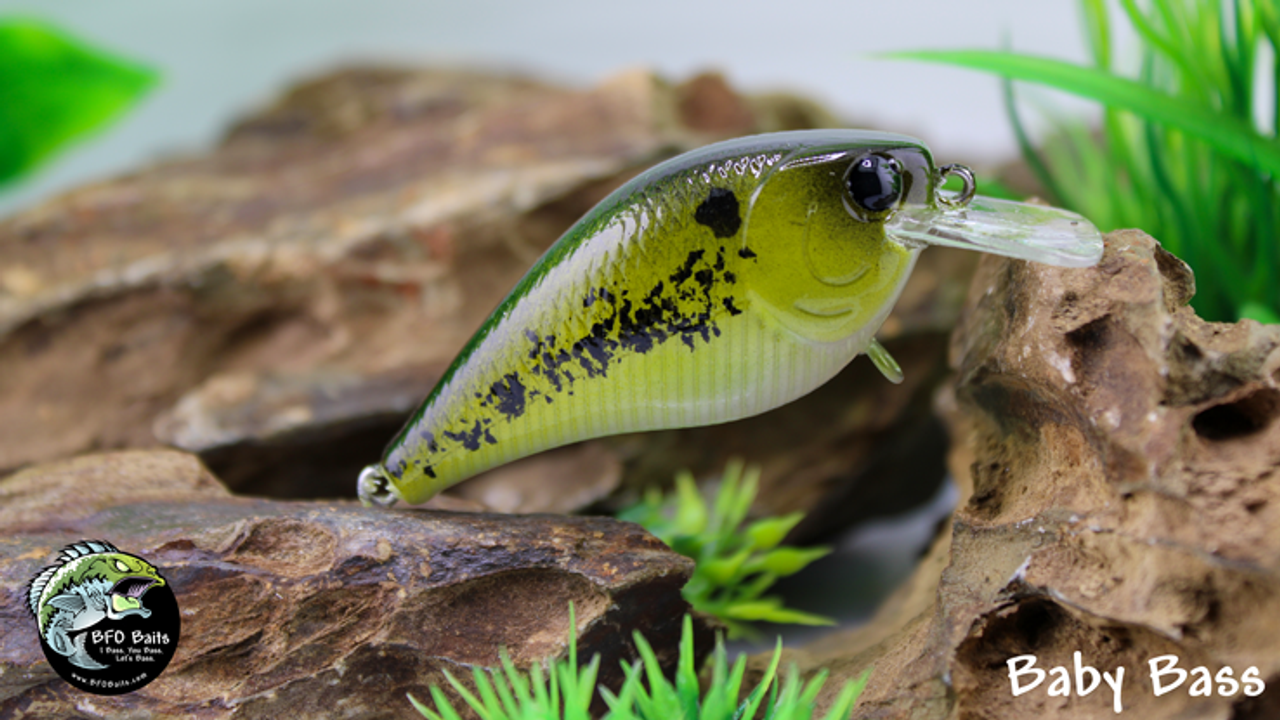 Baby Bass Baby Bass