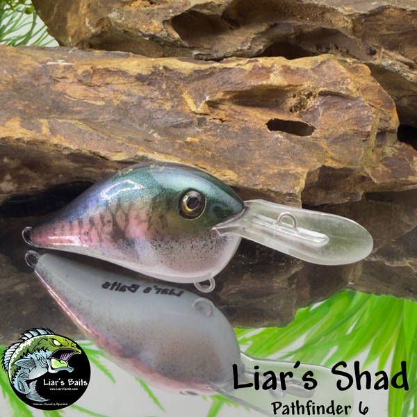 Liar's Shad