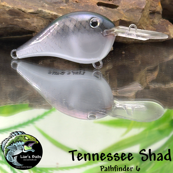 Tennessee Shad