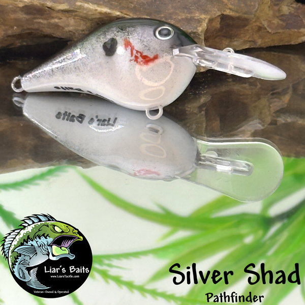 Silver Shad