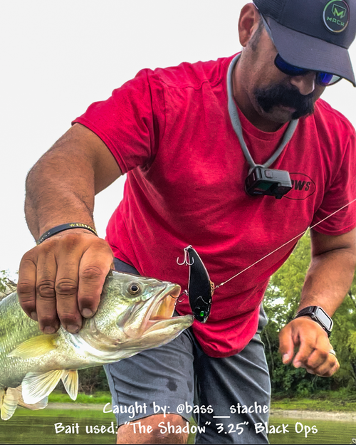 The Shadow caught by @bass_stache