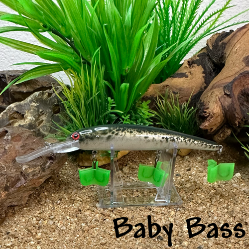 Baby Bass