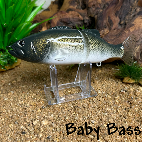 Baby Bass