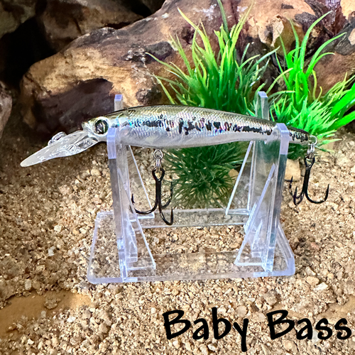 Baby Bass