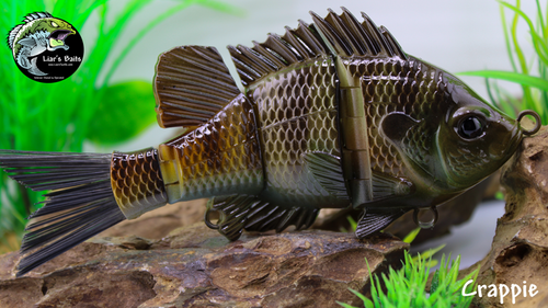 Crappie Crappie