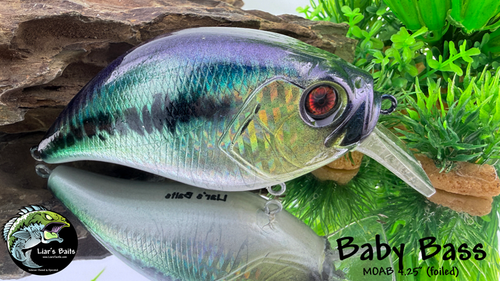 Baby Bass (foiled)