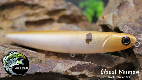 Ghost Minnow Ghost Minnow