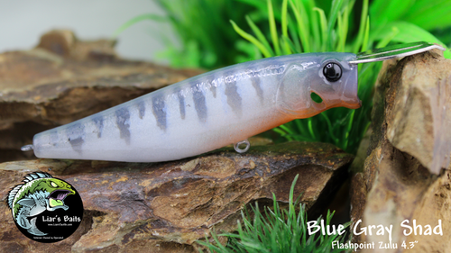 Blue Gray Shad Blue Gray Shad
