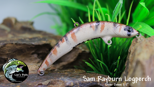 Sam Rayburn Logperch Sam Rayburn Logperch