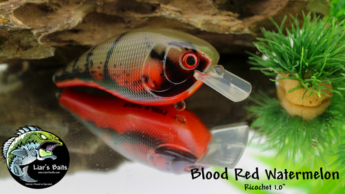 Blood Red Watermelon