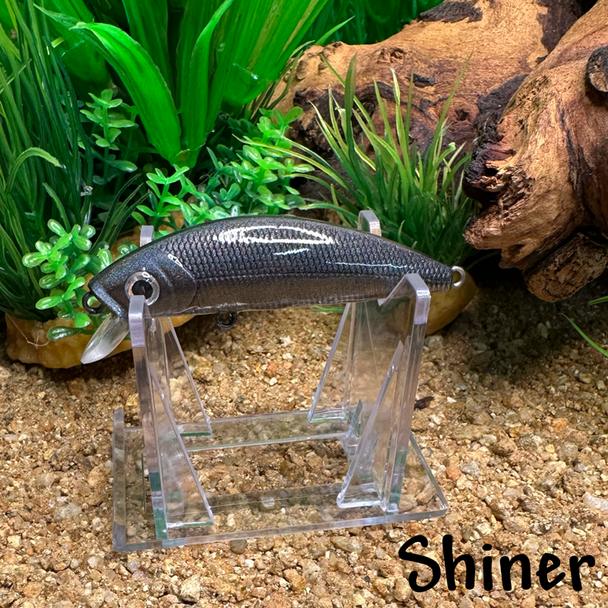Shiner