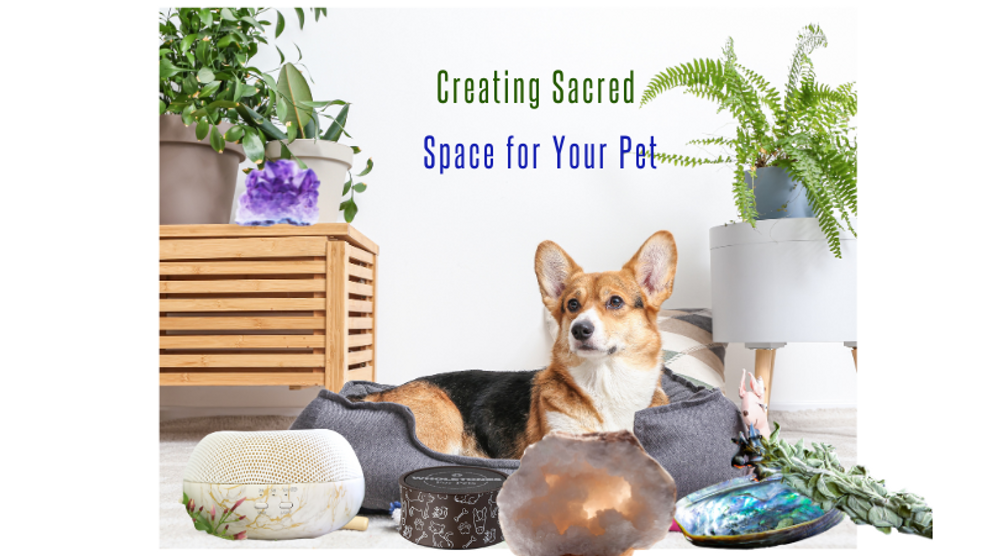 Creating Sacred Space for Your Pet Creating Sacred Space for Your Pet