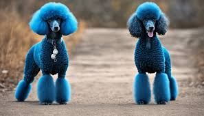 About Colloidal Silver Side effects- Argyria & The Herxheimer effect