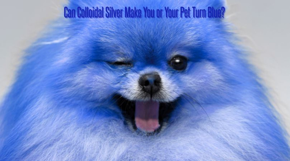 Can Colloidal Silver Make You or Your Pet Turn Blue?