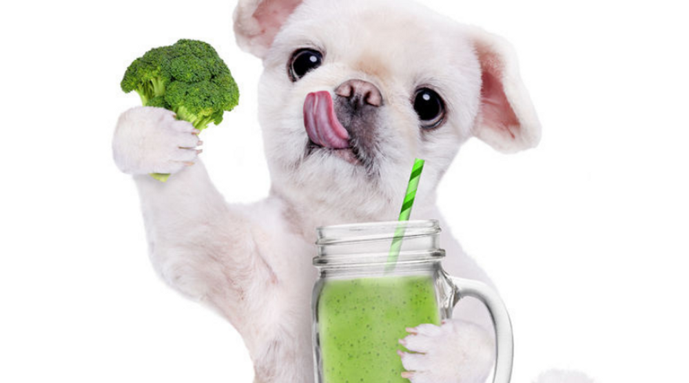 Can Dogs Eat Vegetables As Part of their Raw Diet?  Can Dogs Eat Vegetables As Part of their Raw Diet?