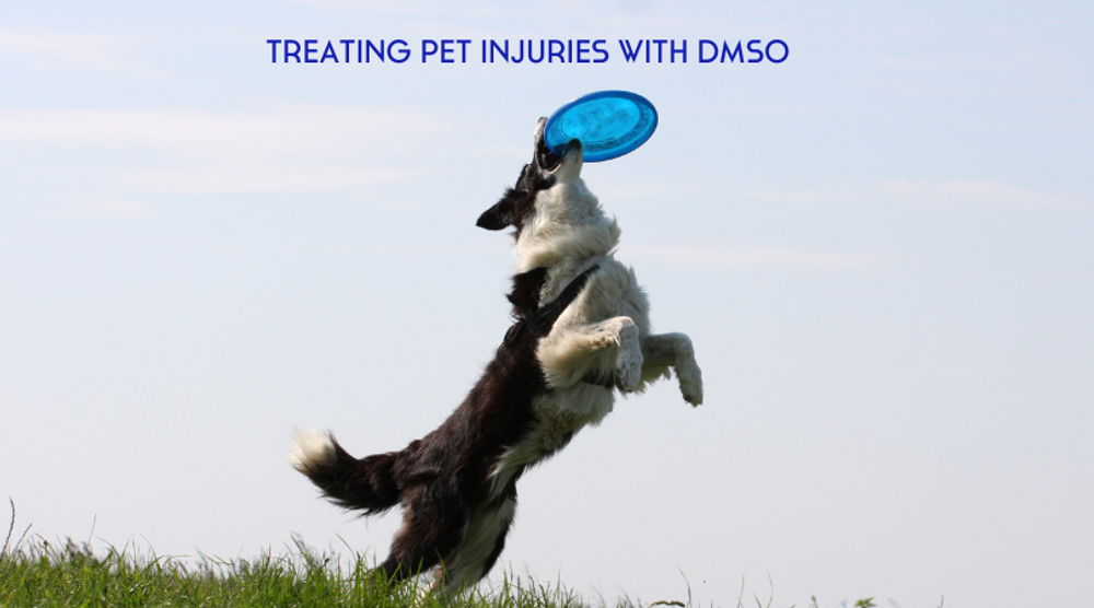 DMSO for Dogs: A Powerful Natural Remedy for Injuries DMSO for Dogs: A Powerful Natural Remedy for Injuries