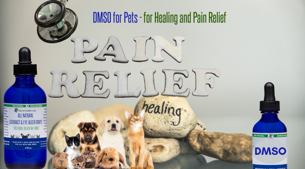 DMSO for Pets - A Natural Aid for Healing and Pain Relief