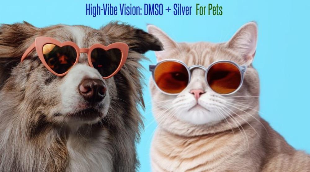 High-Vibe Vision: DMSO + Silver Eye Support for Your Pet