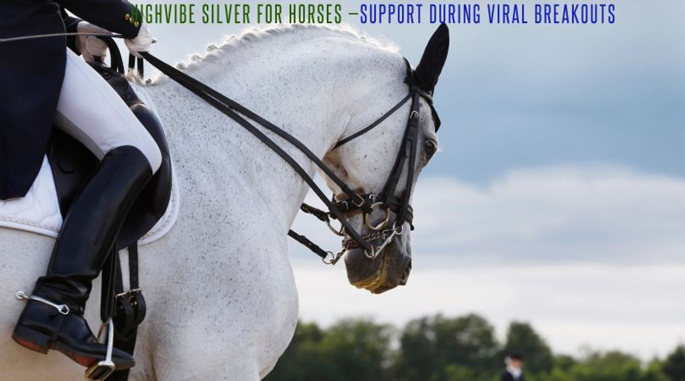 HighVibe Silver for Horses: Wellness Support for EHV-1