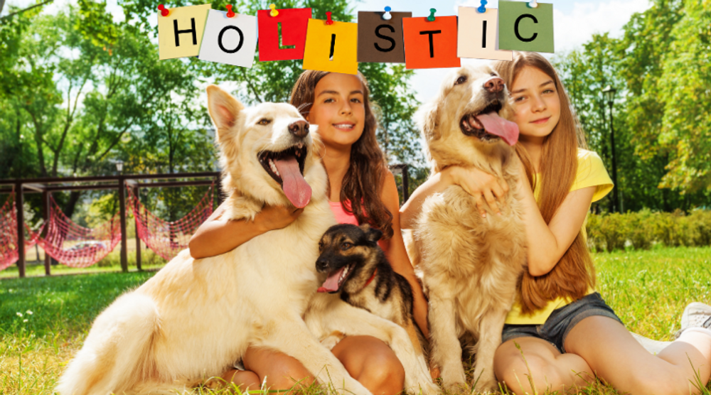 What is Holistic Pet Care? What is Holistic Pet Care?