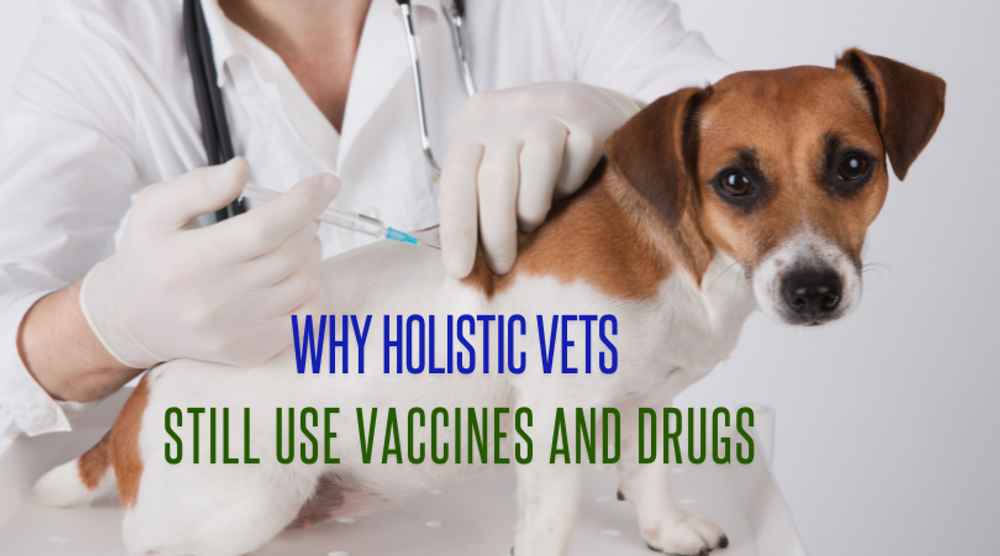 Why Many "Holistic Vets" Still Vaccinate and Use Pharmaceuticals