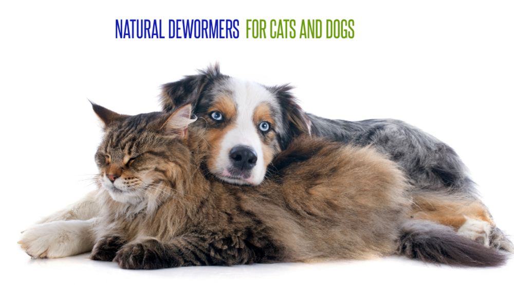 Natural Dewormers for Dogs and Cats