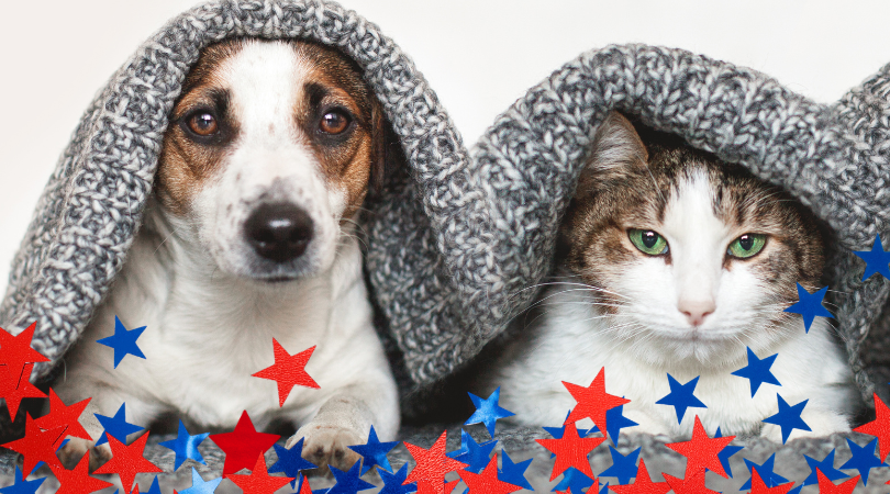 Keeping Pets Calm, Centered & Safe—Naturally