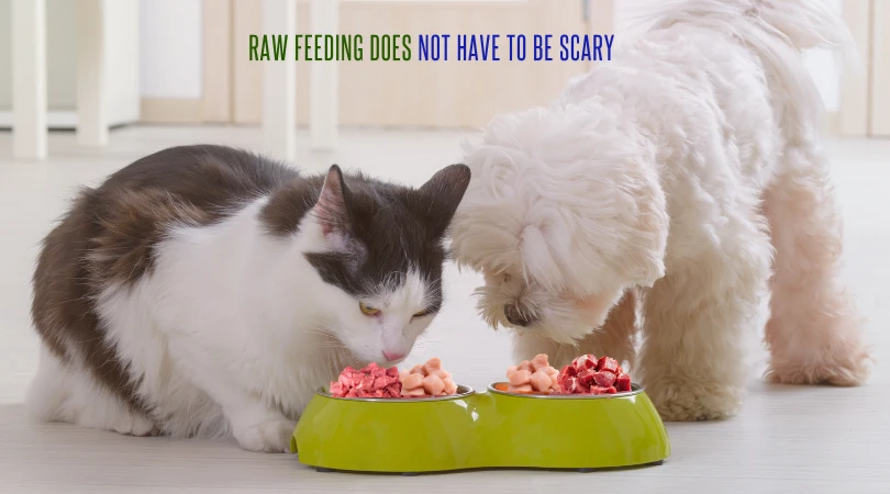 Raw Feeding Does Not Have To Be Scary