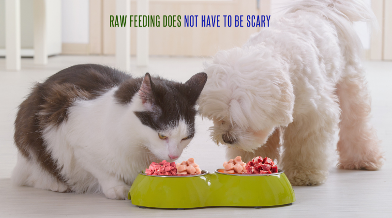 Raw Feeding Does Not Have To Be Scary
