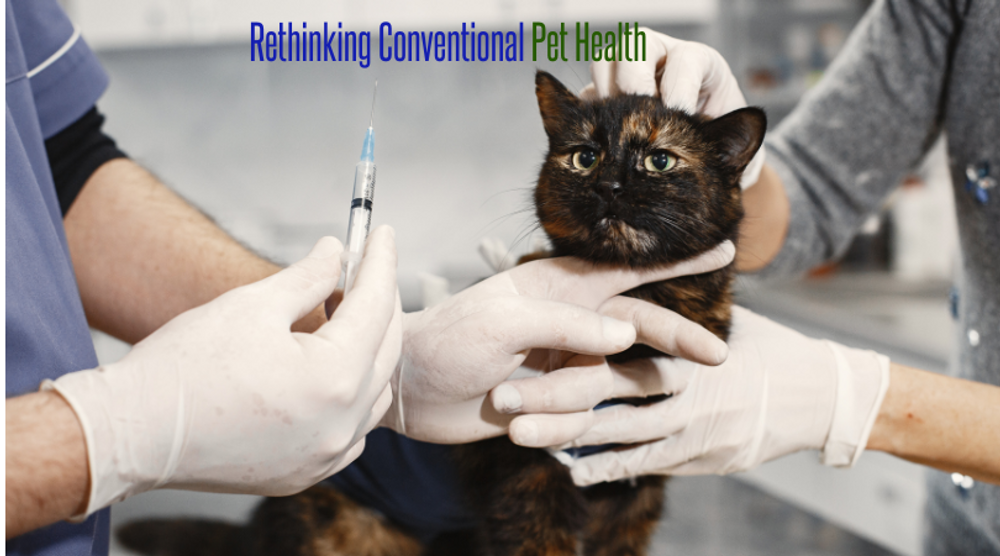 Rethinking Conventional Pet Health