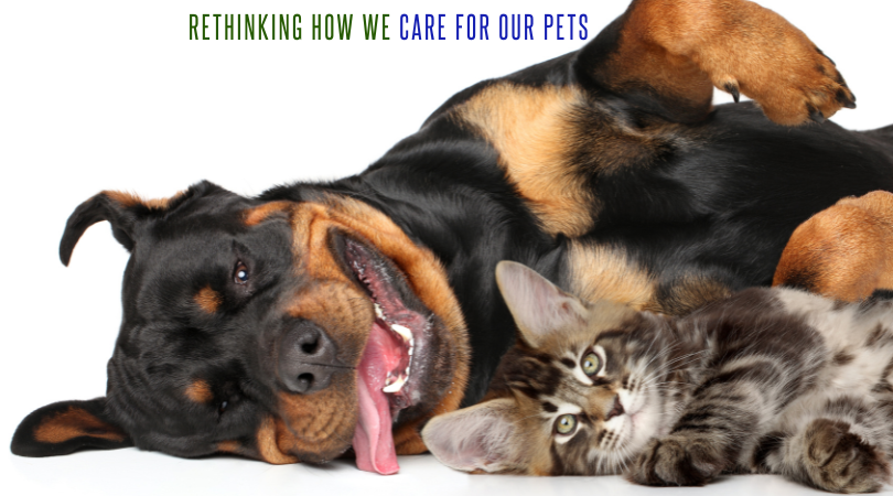 Rethinking How We Care for Our Pets
