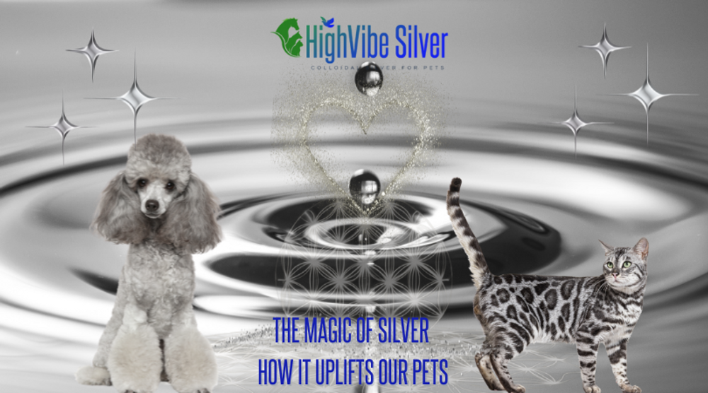 Silver: The Magic and Alchemy of a Sacred Metal  