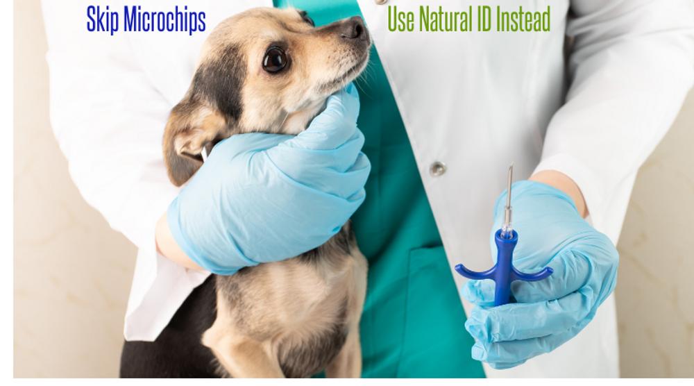  We Invite You to Skip Microchipping Your Pet