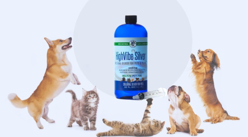 Using Colloidal Silver for Pets Using Colloidal Silver for Pets