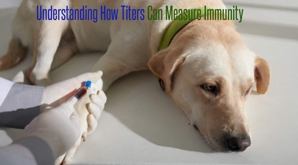 Understanding Titers and True Immunity in Pets