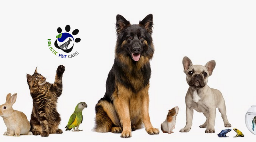 Welcome To Holistic Pet Care Welcome To Holistic Pet Care