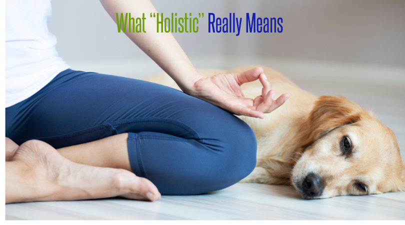 What “Holistic” Really Means