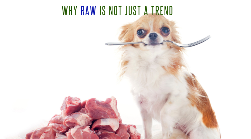 Raw Feeding Is Not Just  A Trend
