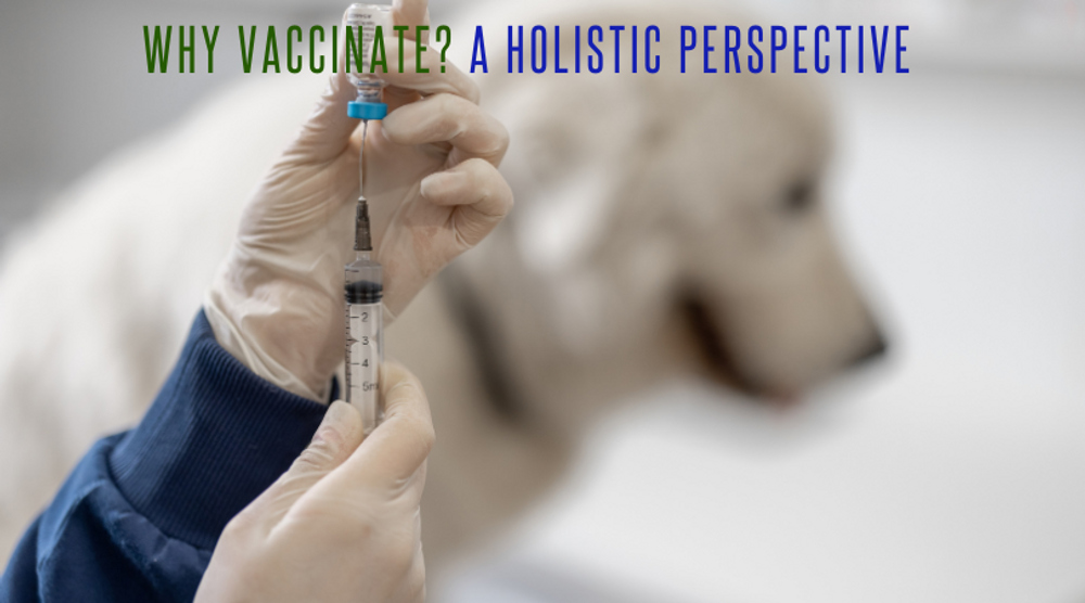 Why We Should  Not Vaccinate Our Pets -  A Holistic Perspective on Immunity and Informed Choice
