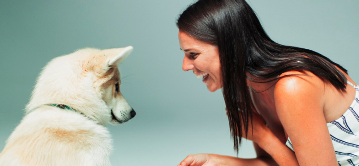 ​A Holistic Approach to Dog Raising and Training