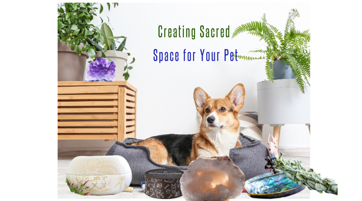 Creating Sacred Space for Your Pet