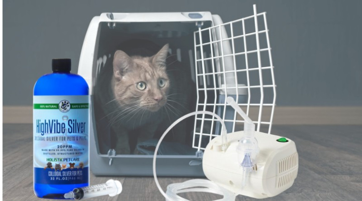 Cat clearance nebulizer solution