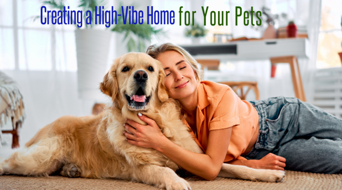 Creating a High-Vibe Home for Your Pet