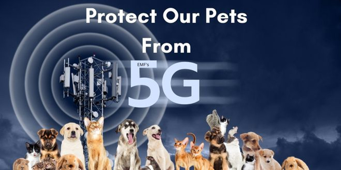 EMF Protection for Pets