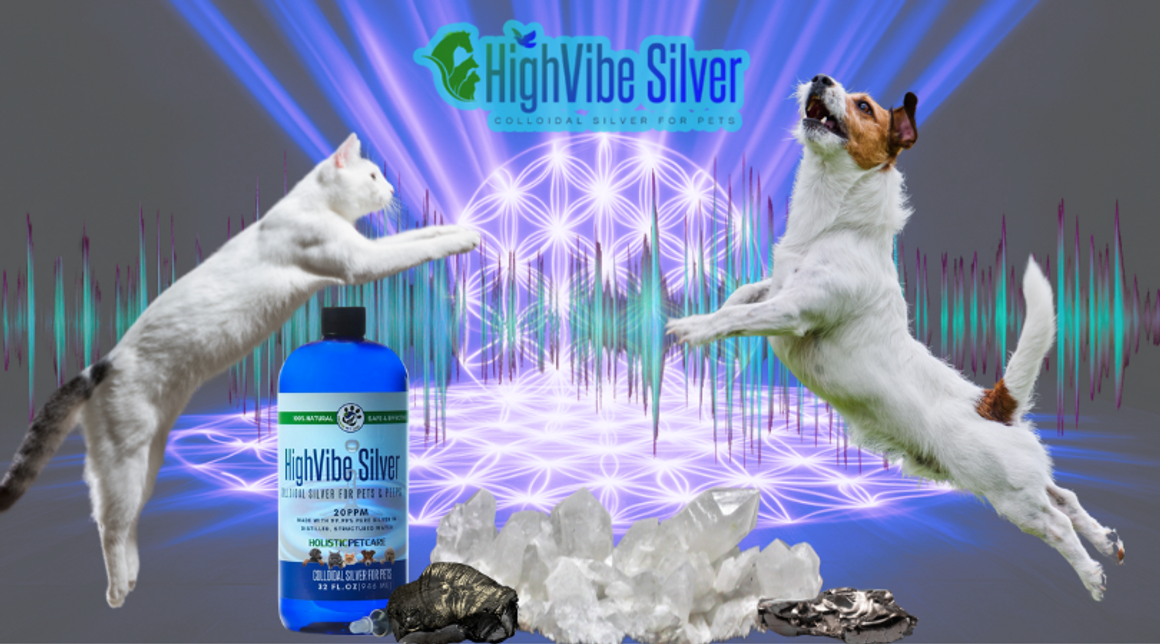  Unleashing the Power of HighVibe Healing for Pets and Their Humans